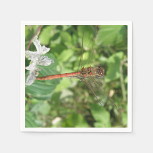 Common Darter Dragonfly Napkins Pappersservett