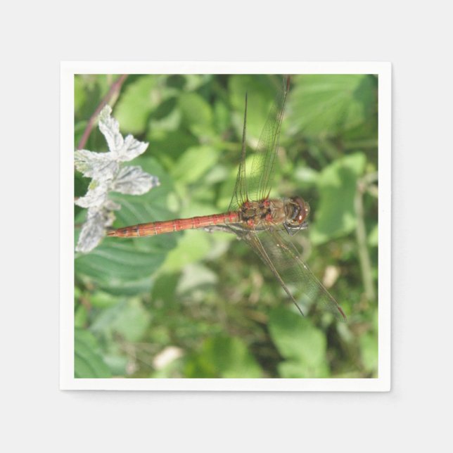 Common Darter Dragonfly Napkins Pappersservett (Framsidan)