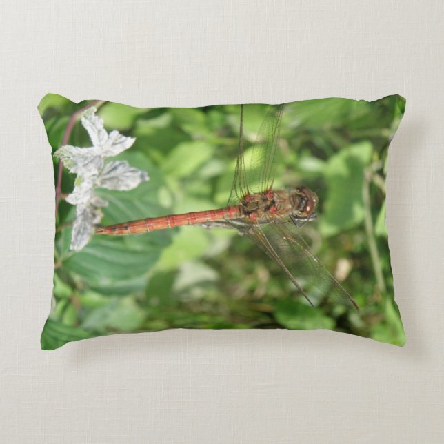 Common Darter Dragonfly Pillow Prydnadskudde (Framsidan)