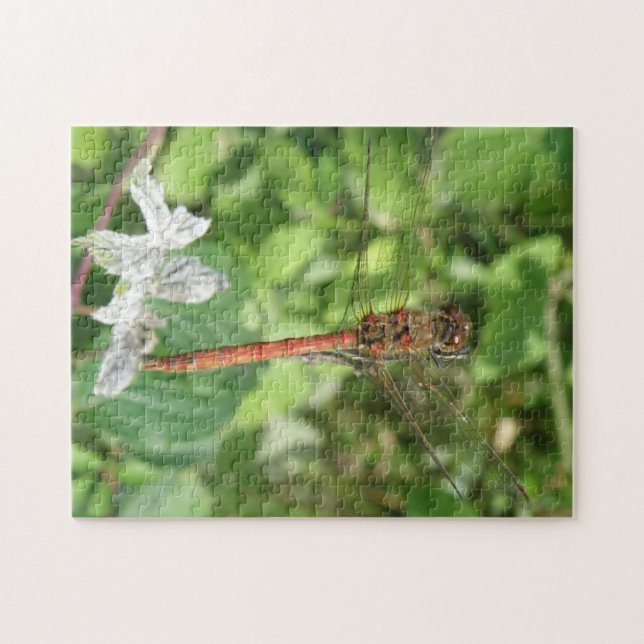 Common Darter Dragonfly Puzzle Pussel (Horisontell)