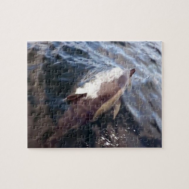 Common Dolphin Surface jigszle Puzzle Pussel (Horisontell)