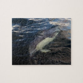 Common Dolphin Swimming Jigszle Puzzle Pussel