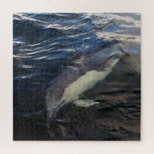 Common Dolphin Swimming Jigszle Puzzle