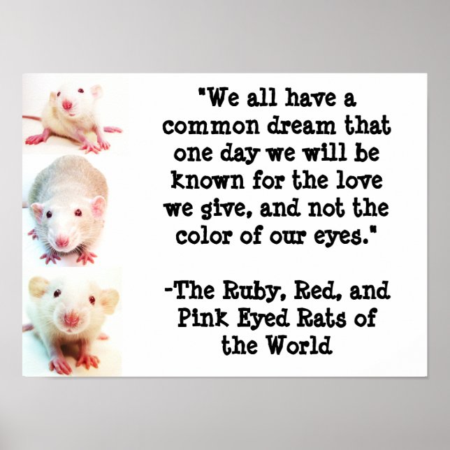 Common Dream Poster (Framsidan)