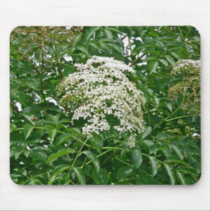Common Elderberry (Sambucus canadensis) Mousepad Musmatta