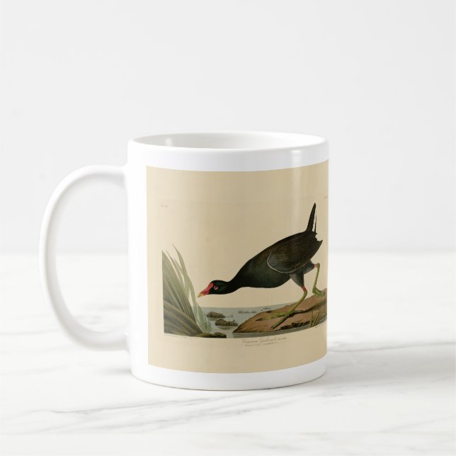 Common Gallinule från Audubon's Birds of America Kaffemugg (Vänster)
