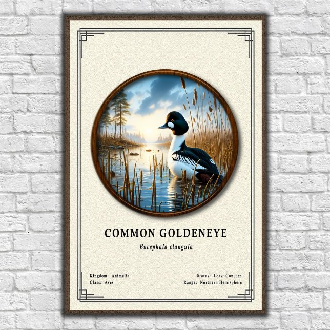 Common Goldeneye Zoologi Serie Poster (Skapare uppladdad)