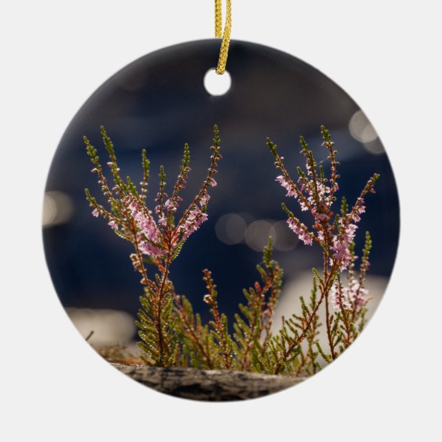 Common Heather Nature Photo Julgransprydnad Keramik (Framsidan)