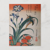Common Kingfisher, Iris Japonica och Dianthus