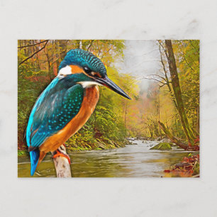Common Kingfisher Vykort