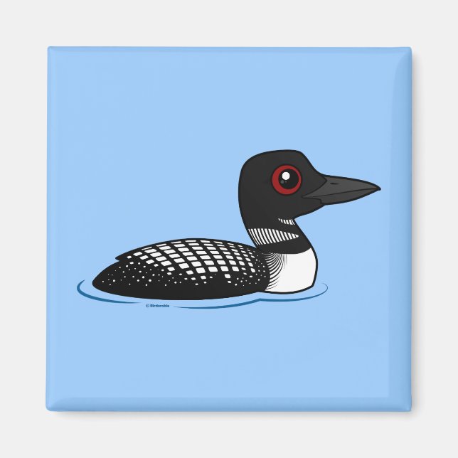 Common Loon, avelshöns vuxen Magnet (Framsidan)