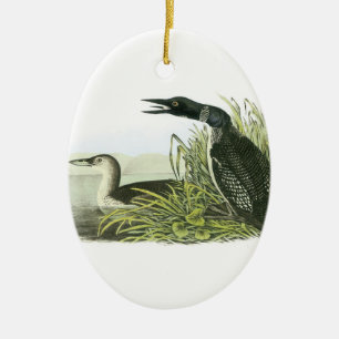 Common Loon by Audubon Julgransprydnad Keramik