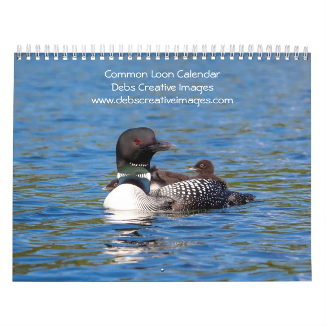 Common Loon Calendar 2026 Kalender (Omslag)