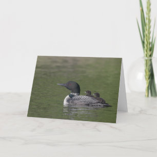 Common Loon Greeting Card Kort