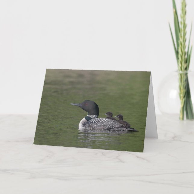 Common Loon Greeting Card Kort (Framsida)
