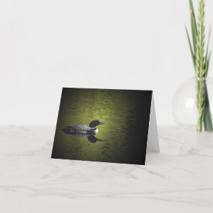 Common Loon Kort