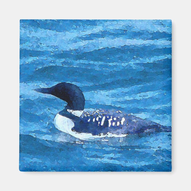 Common Loon Magnet (Framsidan)