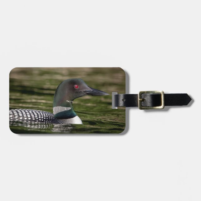 Common Loon på Jabe Pond Bagagebricka (Horisontell Framsida)