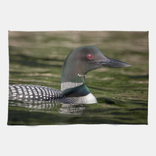 Common Loon på Jabe Pond Kökshandduk