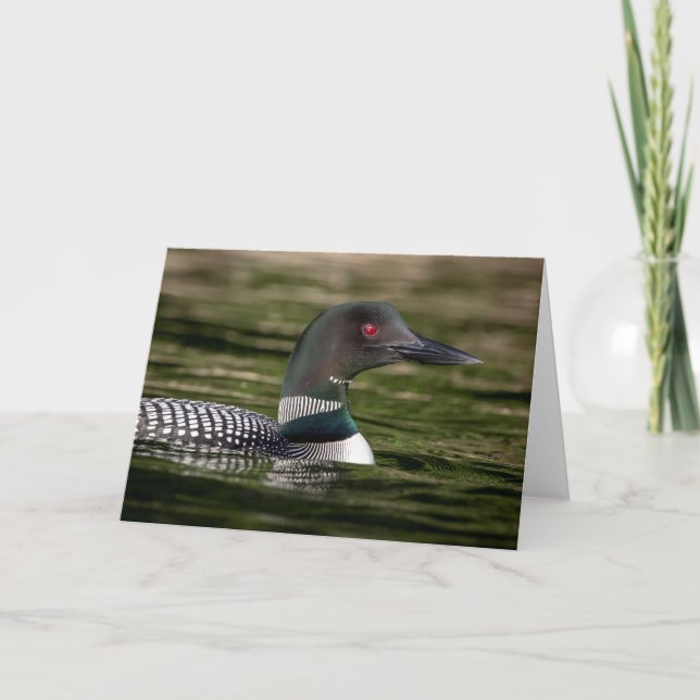 Common Loon på Jabe Pond Kort (Framsida)
