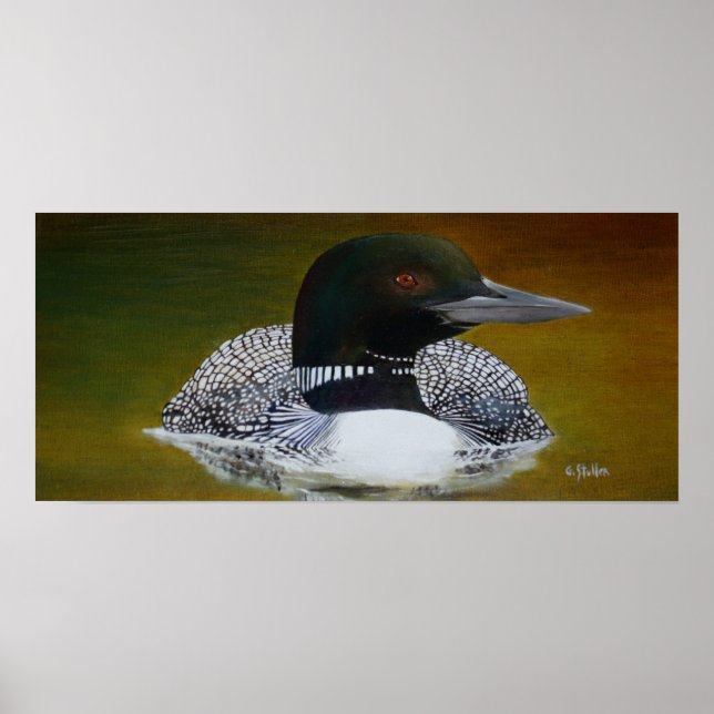 Common Loon Poster (Framsidan)