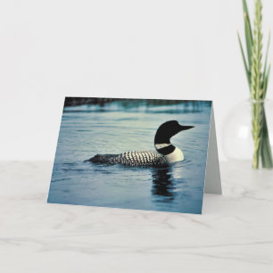 Common Loon Vatten Kort