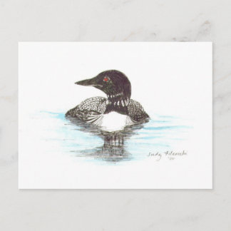Common Loon Vykort