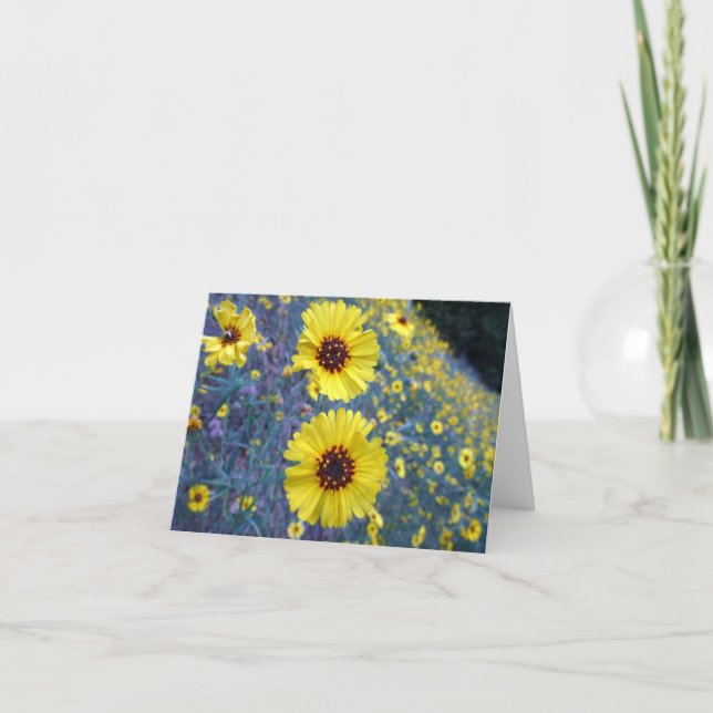 Common Madia Flowers i Sequoias nationalpark Kort (Framsida)