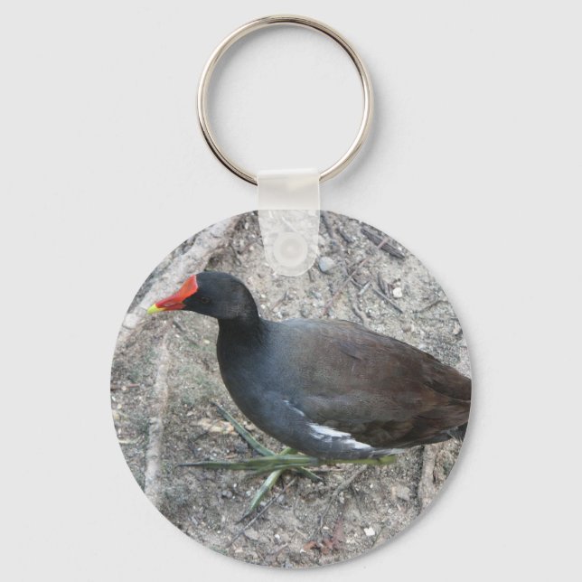 Common Moorhen Keychain Nyckelring (Framsida)