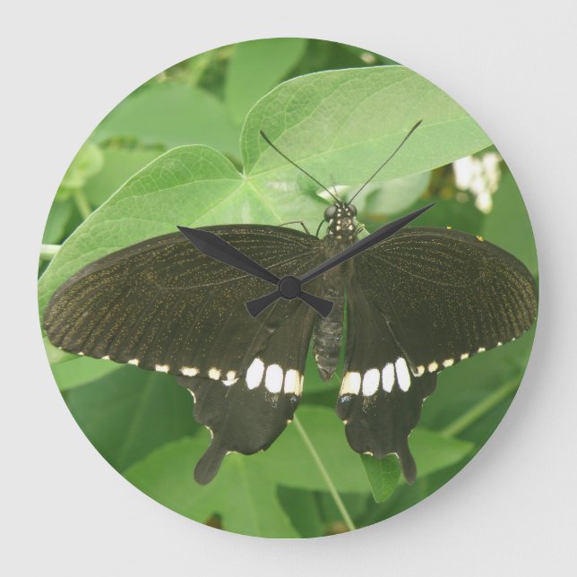 Common Mormon Butterfly Wall Clock Stor Klocka (Framsida)