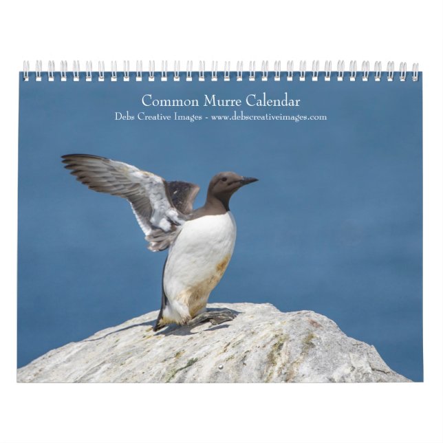 Common Murre Calendar 2026 Kalender (Omslag)