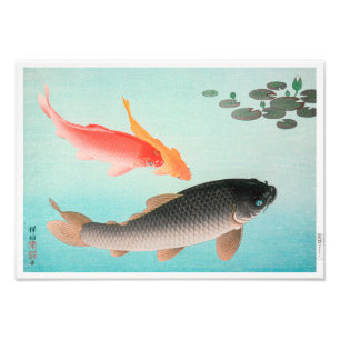 Common och Golden Carp Ohara Koson Fototryck