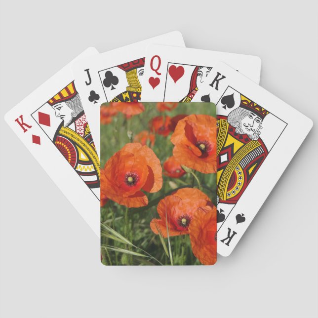 Common Poppies  Casinokort (Baksidan)
