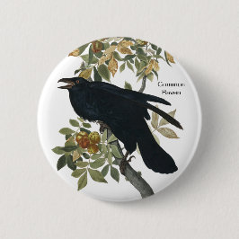 Common Raven by Audubon, Black Kråka, Fågelskådare Knapp