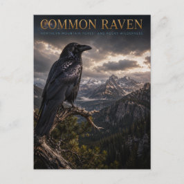 Common Raven Mountain Wilderness DJUR Vykort