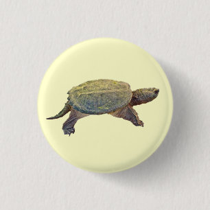 Common Snapping Turtle - Chelydra serpentina Knapp