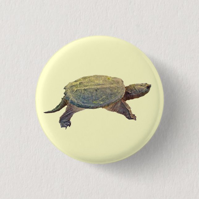 Common Snapping Turtle - Chelydra serpentina Knapp (Framsida)