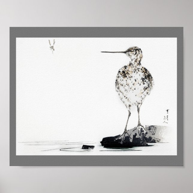 Common Snipe Bird, Watanabe Seitei Poster (Framsidan)