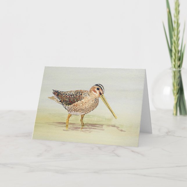 Common Snipe Kort (Framsida)