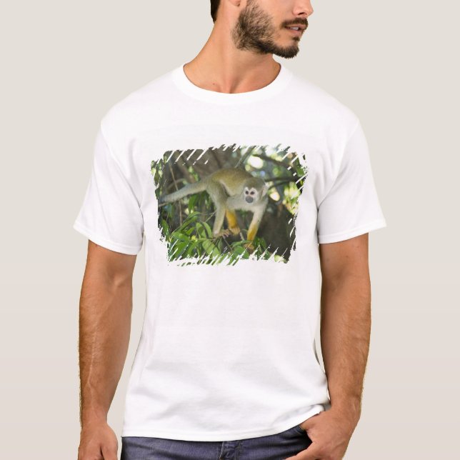Common Squirrel Monkey, (Saimiri sciureus), Rio T-shirt (Framsida)