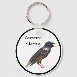 Common Starling Nyckelring