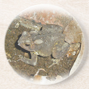 Common Toad Underlägg