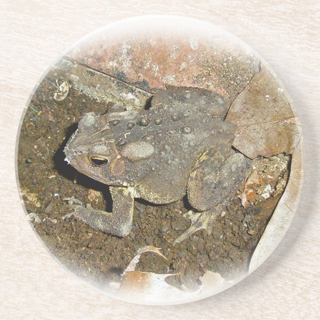 Common Toad Underlägg (Framsidan)