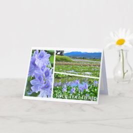 Common Water Hyacinth Kort