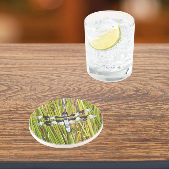 Common Whitetail Skimmer Dragonfly Photo Underlägg (In Situ)