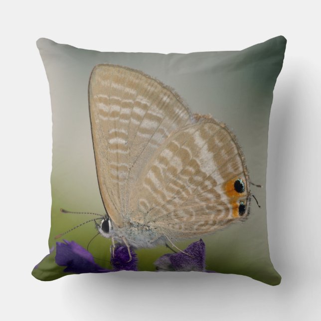 Common Zebra Blue Butterfly Kudde (Framsida)