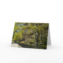 Commonwealth Ave Bldg, Boston MORSOR