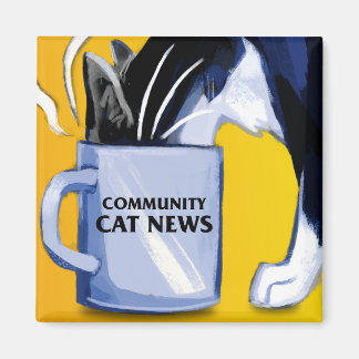Community Cat News Magnet Square