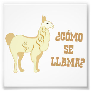 Como Se-Llama? Är vad ditt namn? Fototryck