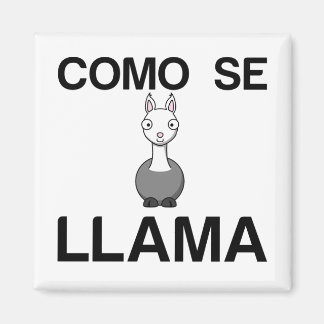 COMO SE LLAMA MAGNET